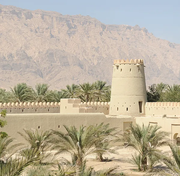 Sub Theme 1: Understanding ECLs and Their Local Traditions Front